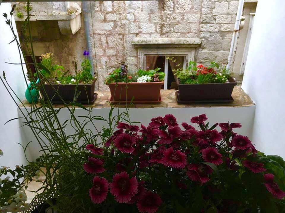 Puntin Rooms Sobe Korcula Town Exterior foto